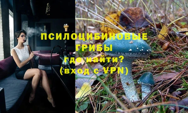 Альфа ПВП Белокуриха